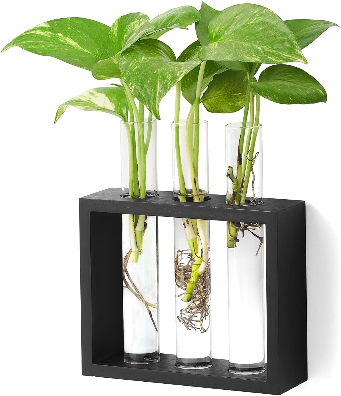 Wall Hanging Plant Propagation Station 3 Tubes with Wooden Stand Desktop Plant Terrarium for Hydroponic Plants, Home Office Decor Planter Gardening Gifts, Black