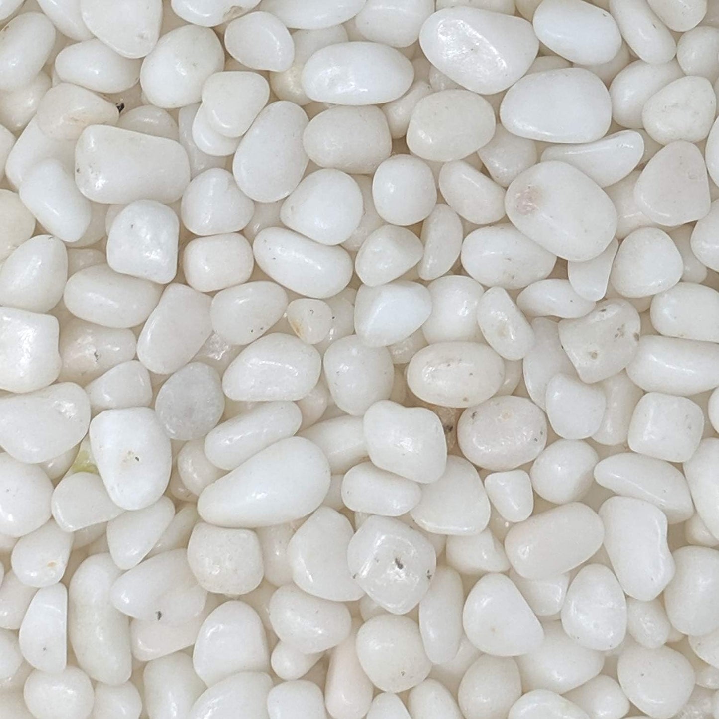 Natural Decorative Polished White Pebbles 3/8" Gravel Size (5-Lb Bag)