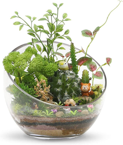 Clear Slant Cut Bowl Glass Vase, Glass Terrarium, Candy Dish, Glassware, Slant Open: 7". Height: 6" X 2.7". Base: 4" (1 Piece)