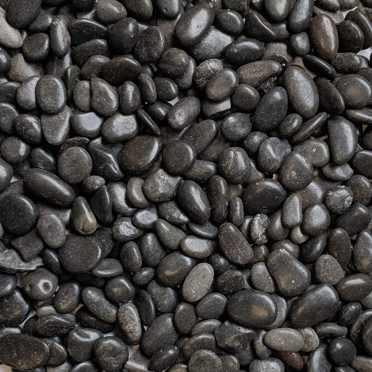 Natural Decorative Polished Black Pebbles 3/8" Gravel Size (10-Lb Bag)