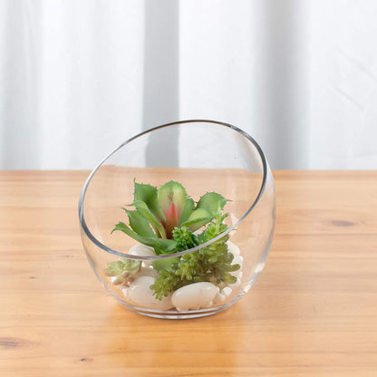 Clear Slant Cut Bowl Glass Vase, Glass Terrarium, Candy Dish, Glassware, Slant Open: 7". Height: 6" X 2.7". Base: 4" (1 Piece)