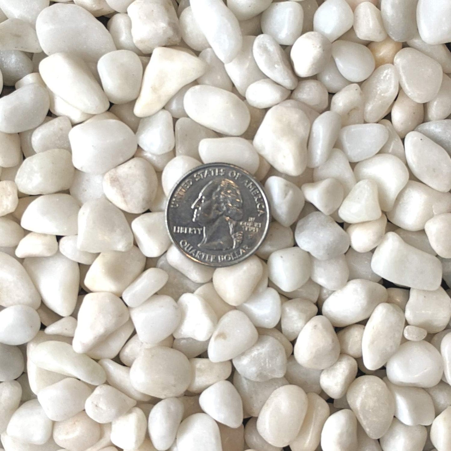 Natural Decorative Polished White Pebbles 3/8" Gravel Size (5-Lb Bag)