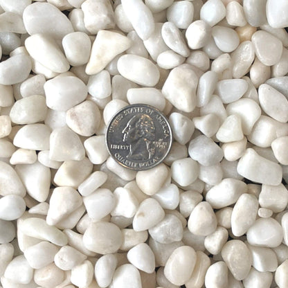 Natural Decorative Polished White Pebbles 3/8" Gravel Size (5-Lb Bag)