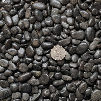 Natural Decorative Polished Black Pebbles 3/8" Gravel Size (10-Lb Bag)